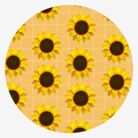 ✨  #checkerboard #aesthetic #pattern #background #yellow - Vsco Sunflower, HD Png Download, Free Download