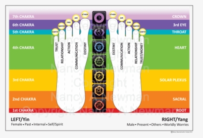 Toe Reading Chart, HD Png Download, Free Download