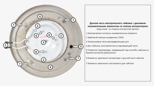 Disc Heating Element 3 - Circle, HD Png Download, Free Download