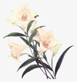 Flower Png I Used Most On My Edits - Aesthetic Flower Png, Transparent Png, Free Download