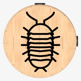 Render 4 - Fly, HD Png Download, Free Download
