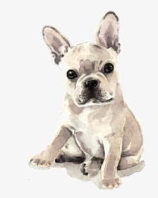 French Bulldog Watercolor Painting, HD Png Download, Free Download