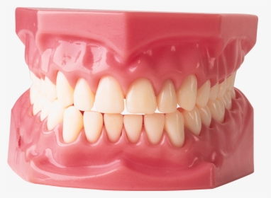 Teeth Png Image - Teeth Png, Transparent Png, Free Download