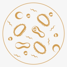 Infectious Disease - Circle, HD Png Download, Free Download
