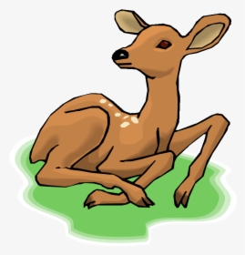 Download Free Clip Art Deer Clipart Deer Clip Art Deer, HD Png Download, Free Download