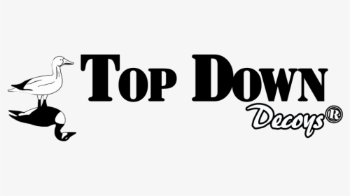 Top Down Decoys - Graphics, HD Png Download, Free Download