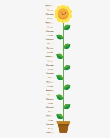 Child Flower Wall Sticker - Medidor De Altura Infantil Png, Transparent Png, Free Download