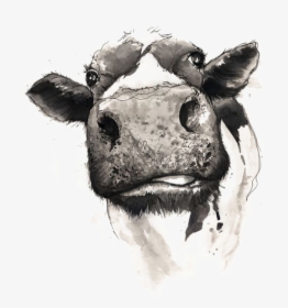 Watercolor Painting Drawing Cow Cattle Download Free - Svg Not Today Heifer, HD Png Download, Free Download