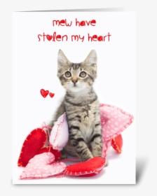 Valentine Kitten Png - Cat Grabs Treat, Transparent Png, Free Download