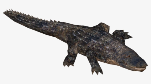 Alligator - Far Cry 5 Crocodile, HD Png Download, Free Download