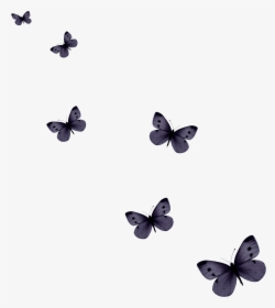 Butterfly Computer Icons - Butterfly Pattern Png, Transparent Png, Free Download