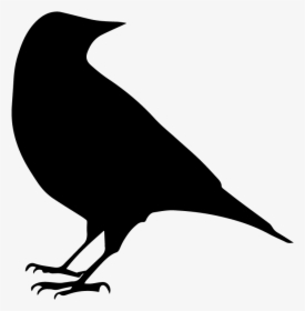 Swallow, HD Png Download, Free Download