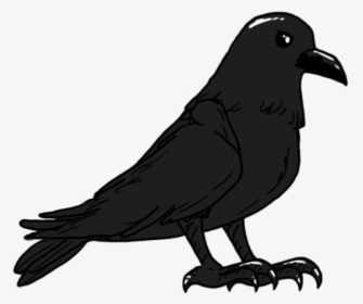 Transparent Flying Crows Png - American Crow, Png Download, Free Download