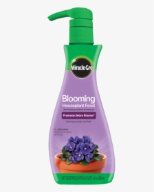 Violets Png, Transparent Png, Free Download
