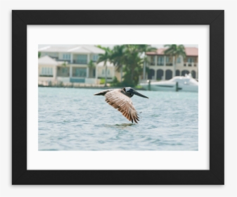 Untitled Mockup Transparent Transparent (1) - Great Blue Heron, HD Png Download, Free Download