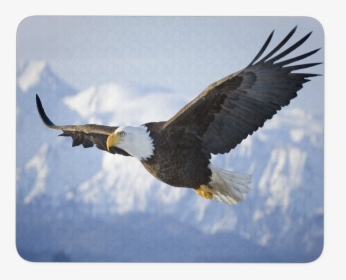 Eagle Flying Over Snowy Mountains, HD Png Download, Free Download