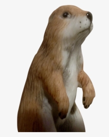 Prairie Dogs Png Picture Free - Prairie Dogs Png, Transparent Png, Free Download