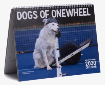 Maremma Sheepdog, HD Png Download, Free Download