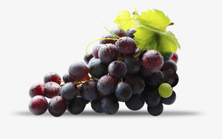 Red Grapes, HD Png Download, Free Download