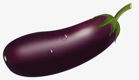 Tomato Clipart Eggplant Plant - Eggplant, HD Png Download, Free Download