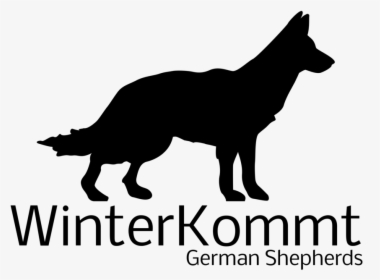 German Shepherd Puppy Png, Transparent Png, Free Download