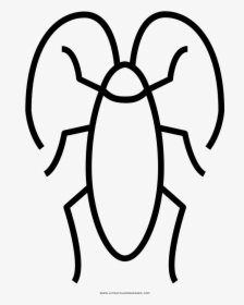 Cockroaches Coloring Pages, HD Png Download, Free Download