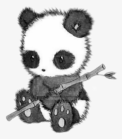 Draw So Cute Animal , Png Download - Black And White Panda Drawing, Transparent Png, Free Download