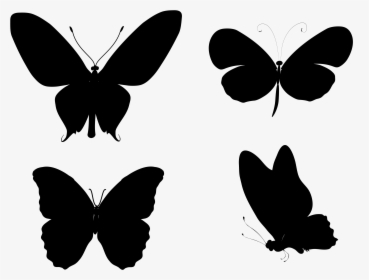 Monarch Butterfly Insect Silhouette Drawing - Brush-footed Butterfly, HD Png Download, Free Download