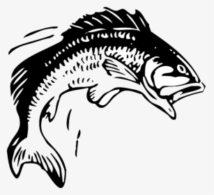 Animals, Head, Red, Water, Food, Sketch, Silhouette - Clipart Jumping Fish Png, Transparent Png, Free Download