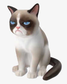 Grumpy Cat Png Transparent Picture - Grumpy Cat Png, Png Download, Free Download