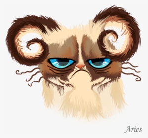 Grumpy Cat Face Png, Transparent Png, Free Download