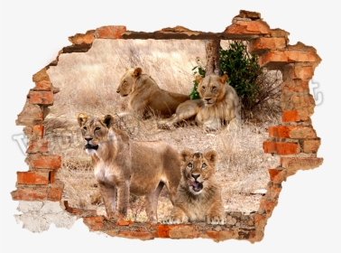 Puppy And Lions - Poster For Wall Art Design Competition, HD Png Download, Free Download