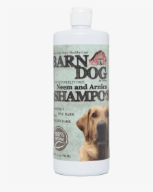Companion Dog, HD Png Download, Free Download