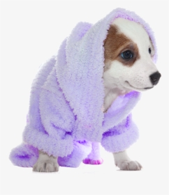 Dog Bath Png, Transparent Png, Free Download
