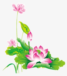 Transparent Chinese Flower Png - Png Lotus, Png Download, Free Download
