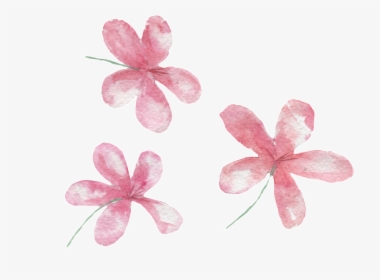 Pink Hand Painted Small Flower Transparent - Cooktown Orchid, HD Png Download, Free Download