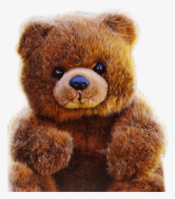 Teddybear - Teddy Bear Images Download Hd, HD Png Download, Free Download