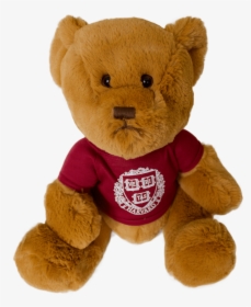Large Harvard Teddy Bear - Teddy Bear, HD Png Download, Free Download