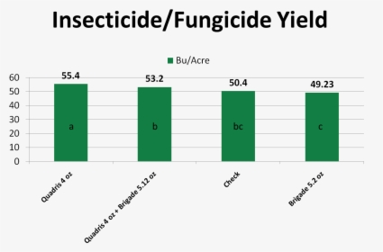 Insectfungslide - Purchase Funnel, HD Png Download, Free Download