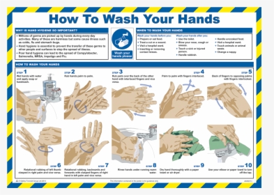 How To Wash Your Hands Poster"  Title="how To Wash - Restaurant Hand Wash Sign, HD Png Download, Free Download