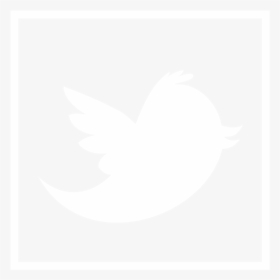 Twitter Logo Png File, Transparent Png, Free Download