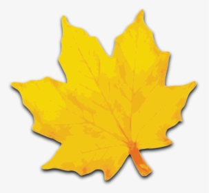 Maple Leaf Clip Art, HD Png Download, Free Download