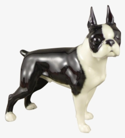 Boston Terrier, HD Png Download, Free Download