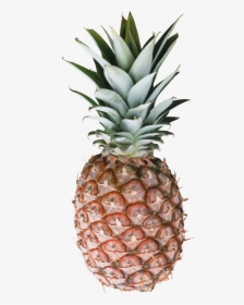 Free Download Of Pineapple Icon Png - Pineapple Png, Transparent Png, Free Download