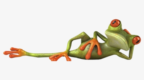 Frog Laying Down Png, Transparent Png, Free Download