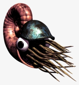 Nemo 01 - Chambered Nautilus, HD Png Download, Free Download