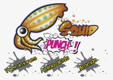 Squid Punch Logo - Squid Proxy, HD Png Download, Free Download