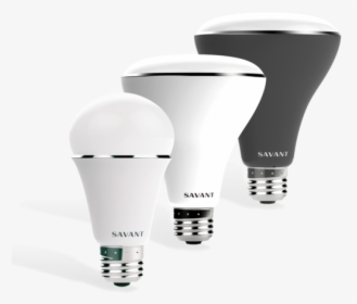 Allbulbs, HD Png Download, Free Download