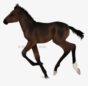 Mustang Pony Stallion Foal Silhouette - Foal, HD Png Download, Free Download