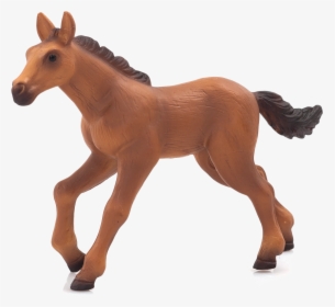 Foal, HD Png Download, Free Download